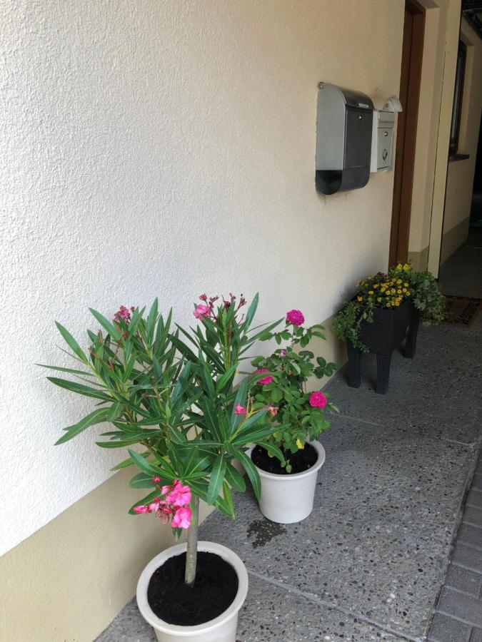 Ferienwohnung Am Gaessle Ettenheim Buitenkant foto